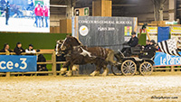 Salon de l'agriculture  -  Paris. 